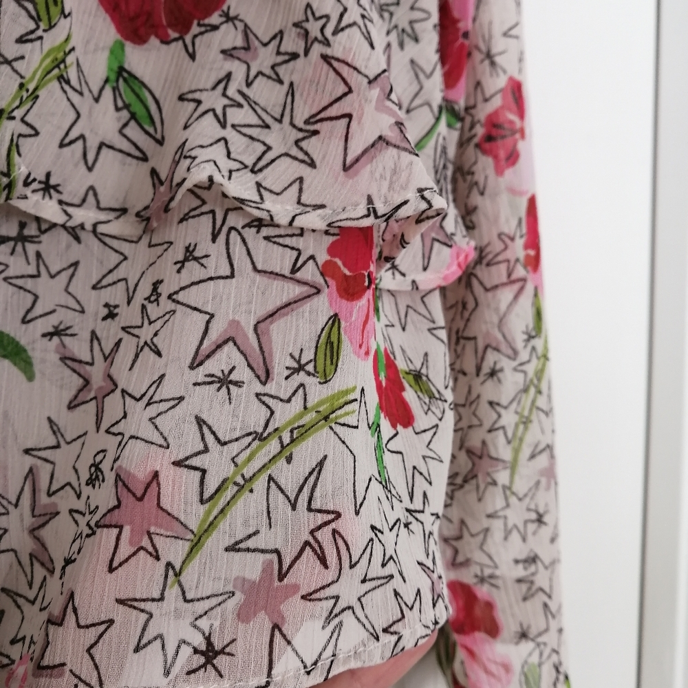 Zara Ruffled Sheer Blouse - Picture 6 of 8